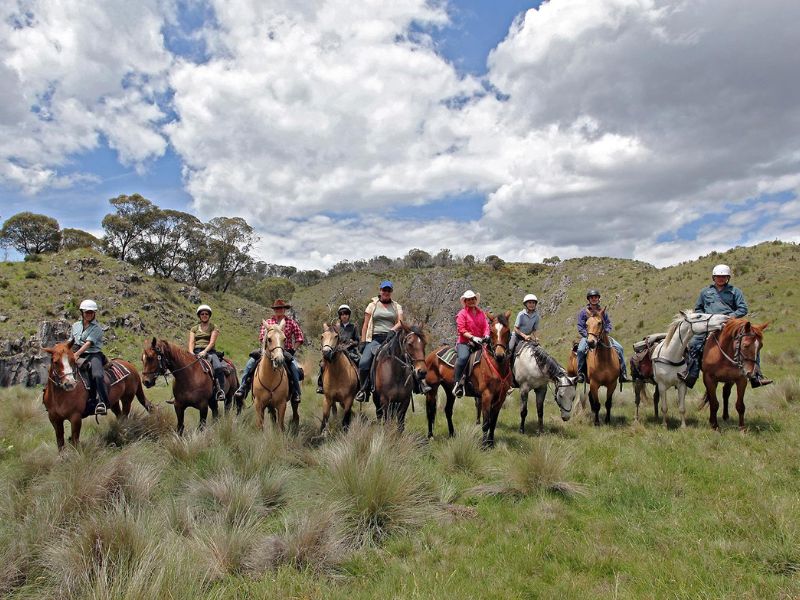 Horse riding excursion