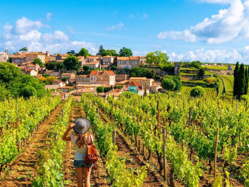 Saint Emilion Vineyards E-Bike with Lunch Shore Excursion