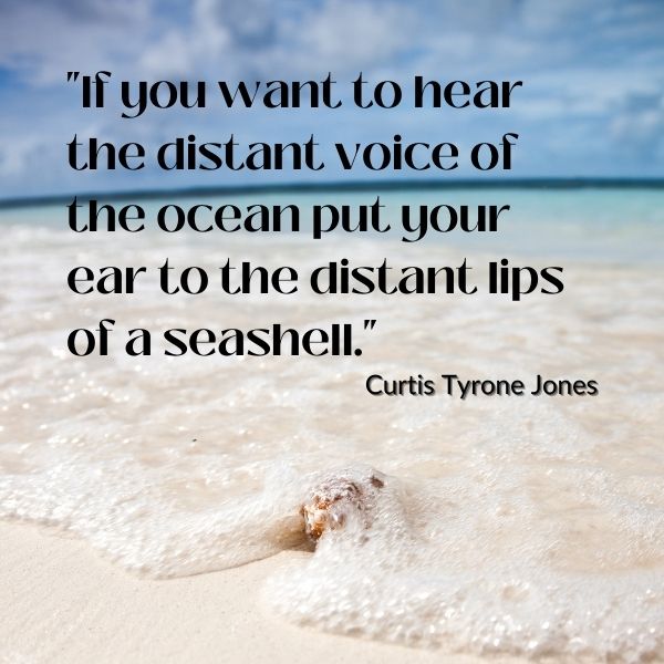 Quote about the sound of the ocean in seashells