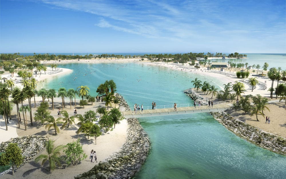 Visitors enjoy a sunny day at MSC Ocean Cay Marine Reserve, with its lush palm trees, clear turquoise waters, and serene sandy beaches, embodying a tropical paradise.