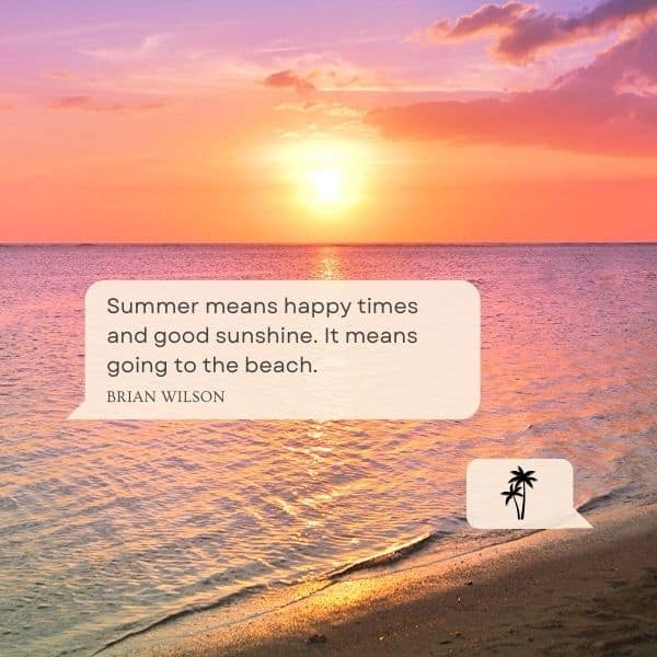 Quote about happy times and sunshine at the beach