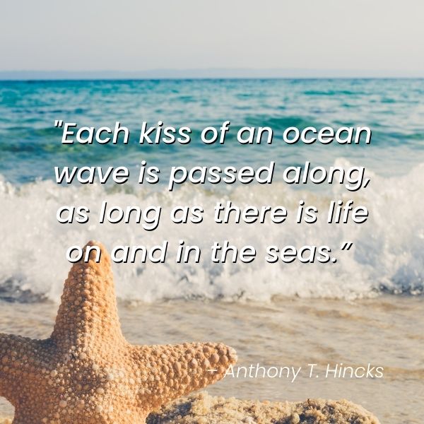 Quote about the waves of the ocean
