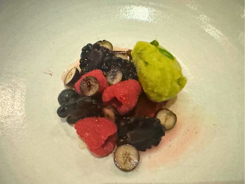 Eden plant based tasting menu
