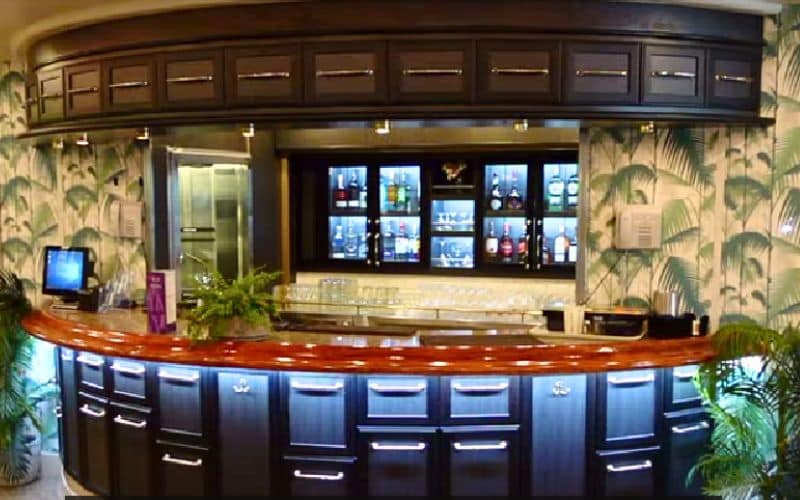 Ambassador cruise - SW 19 Bar