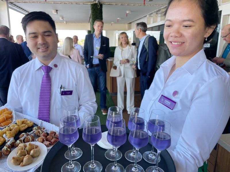 Ambassador signature cocktails