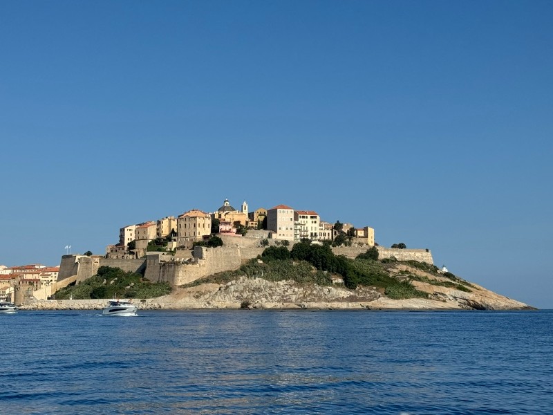 Calvi