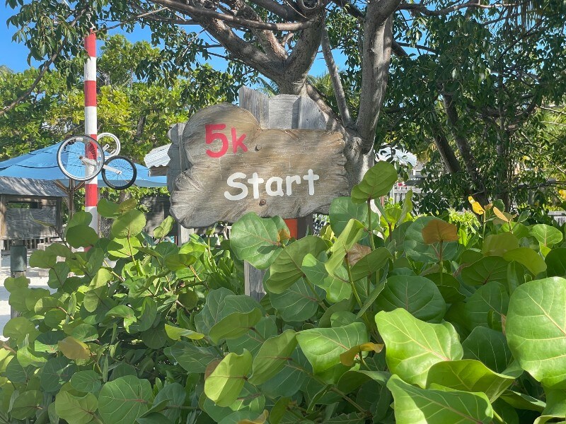 Castaway Cay 5k