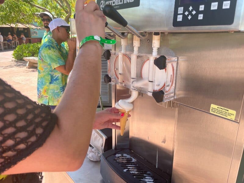 Castaway Cay ice cream.