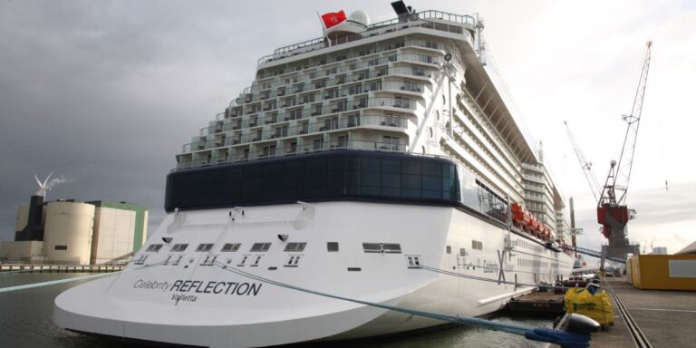 Celebrity Reflection