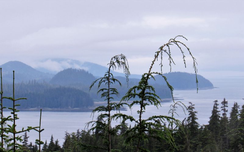 Chichagof Island views