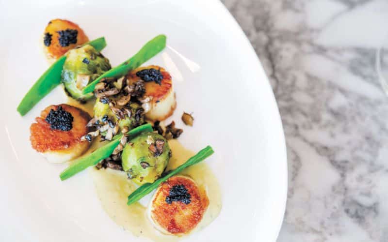a serving of beautifully plated food