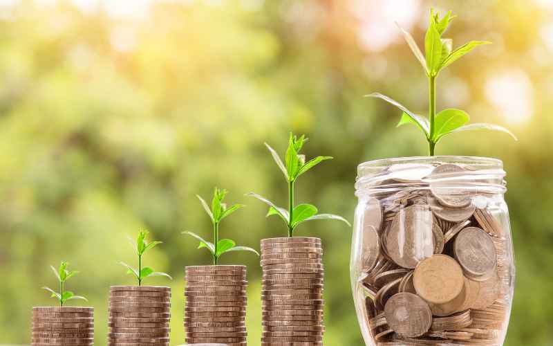 Piles of coins, growing each time with a plant growing out the top, with a coin jar.