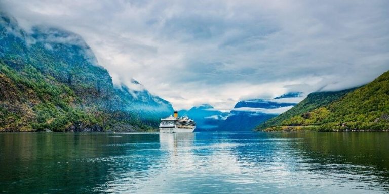 cruise statistics