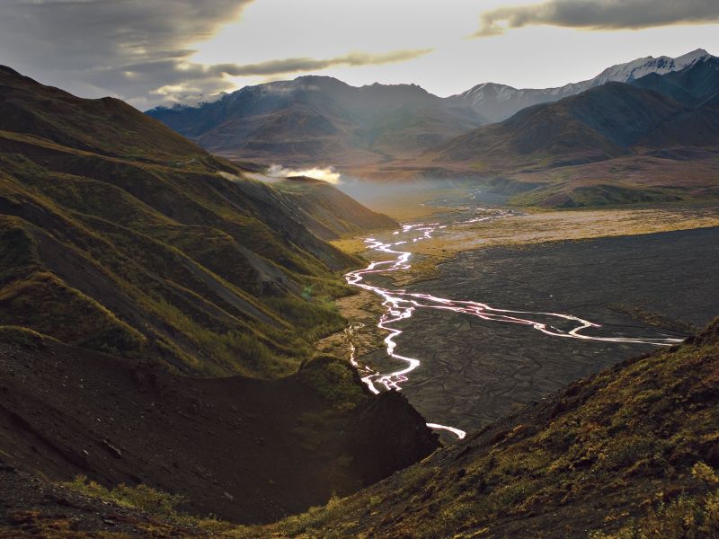 Denali National Park Alaska
