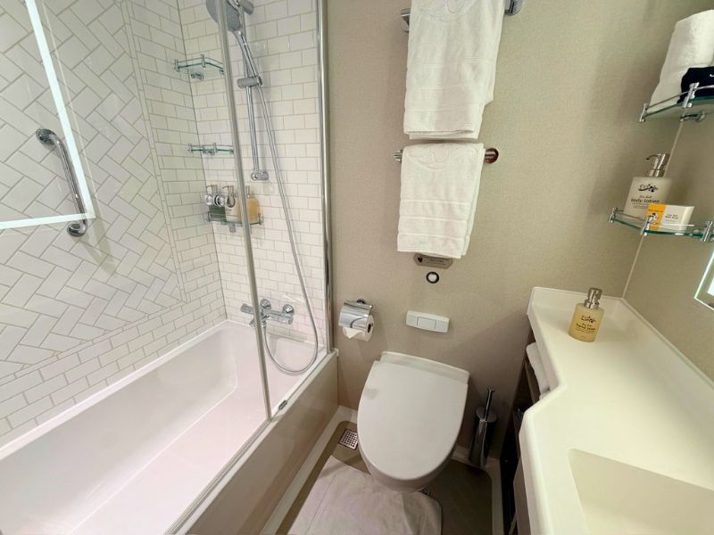 cruise bathroom