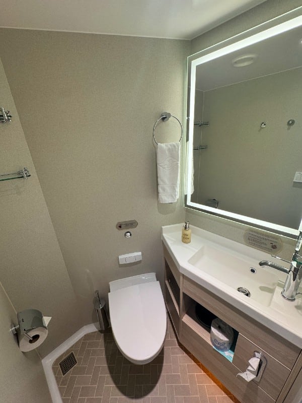 Disney Treasure bathroom
