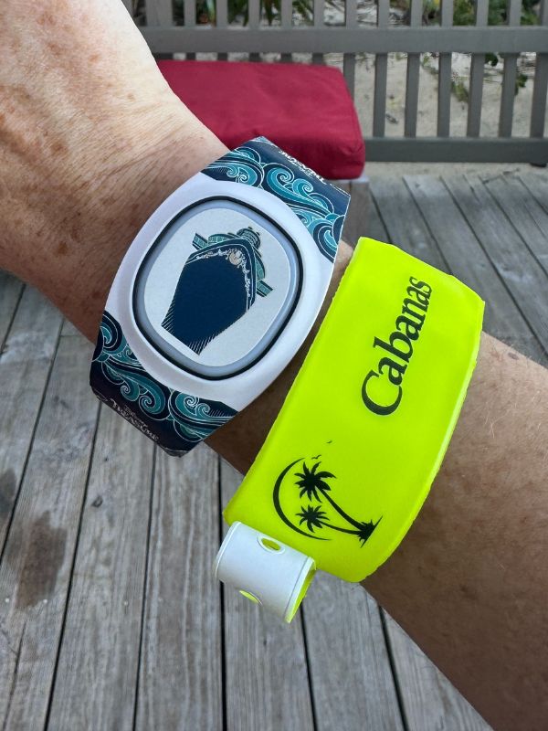 Disney's Magic Band