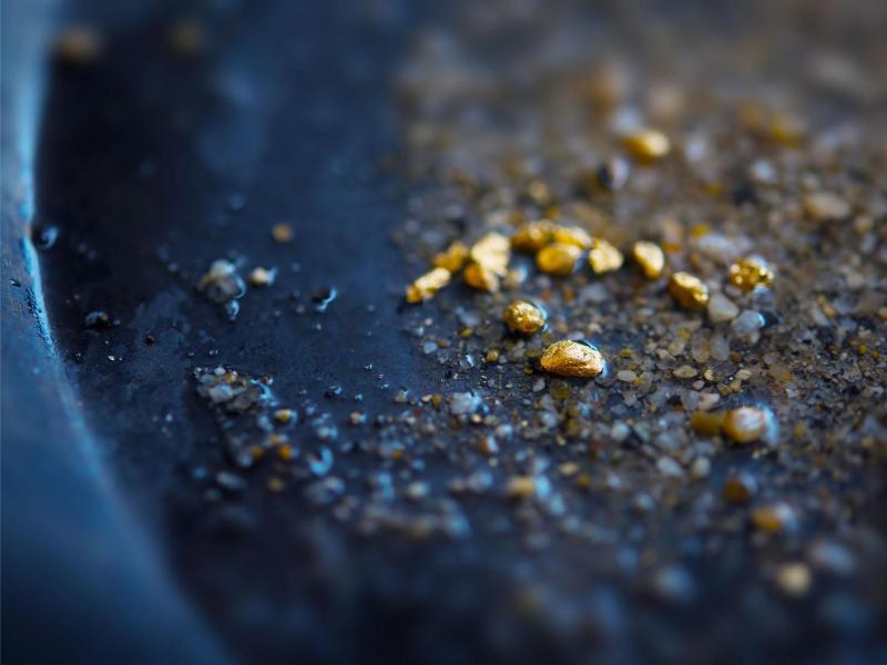 Gold Panning and Gold Creek Salmon Bake