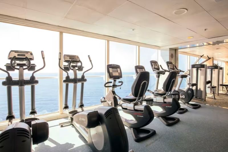 Cruise gym