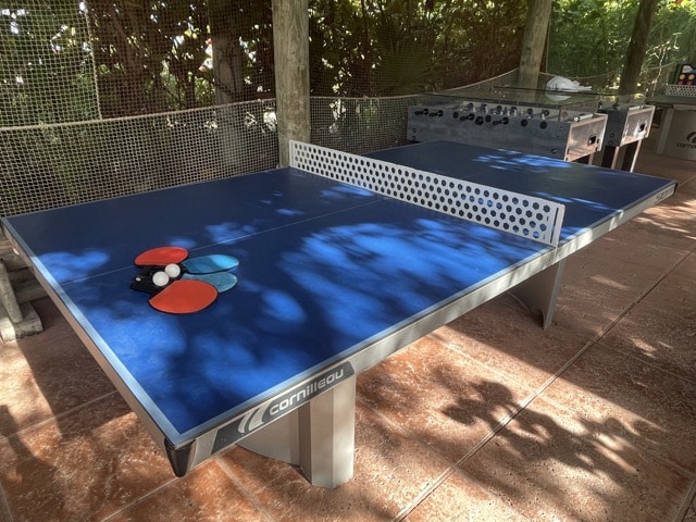 table tennis