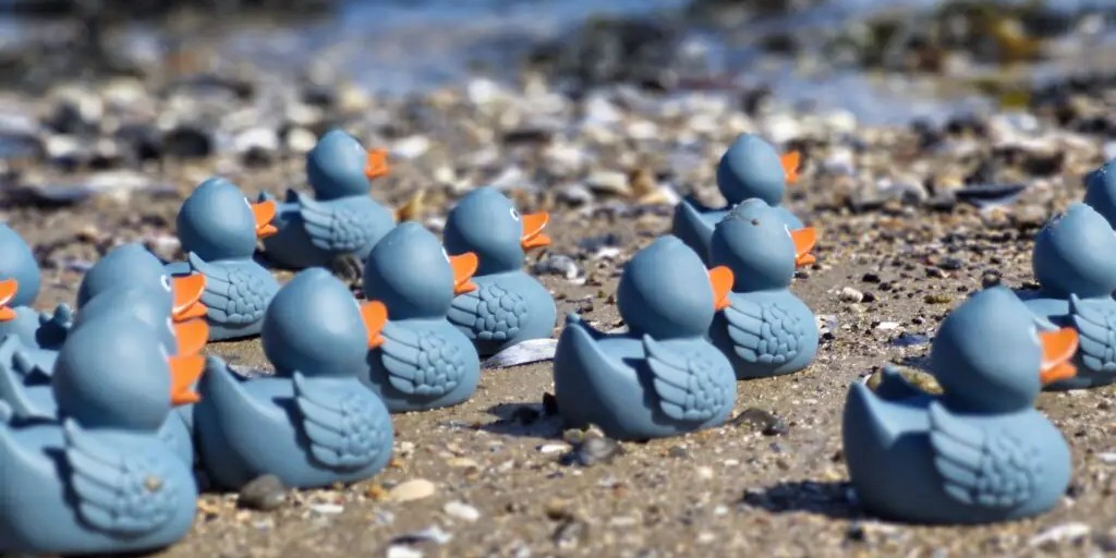 Invergordon Duck Trail
