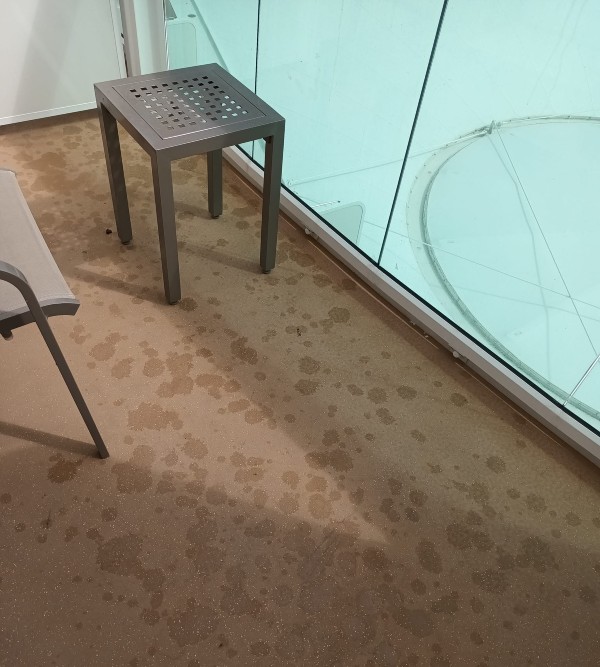 Balcony underneath the infinity pool on P&O 