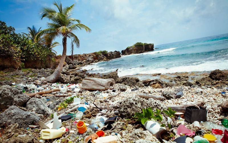 a dirty beach in Jamaica