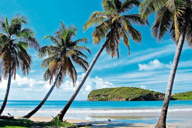 Marella Cruises Caribbean Pirates Sailaway