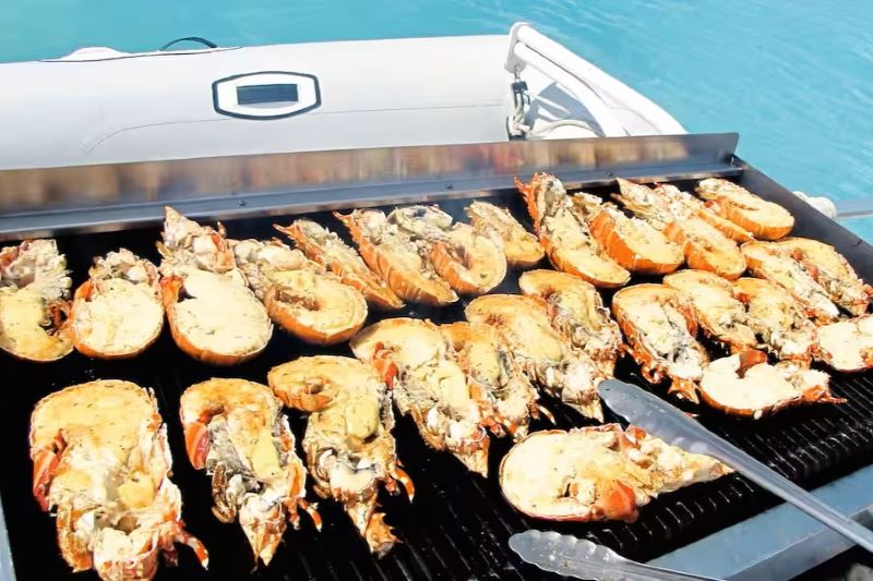 Marella Cruises Catamaran Cruise & Lobster Lunch