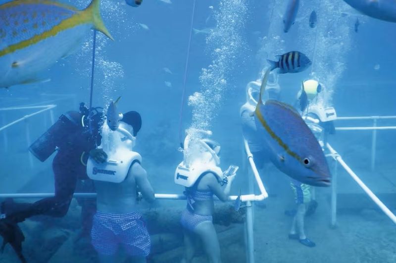 Marella Cruises Sea Trek Helmet Dive