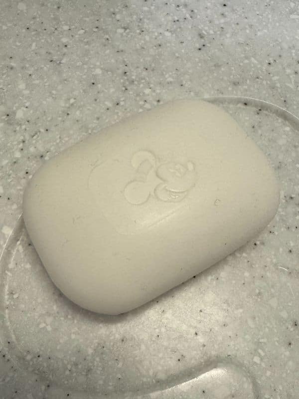 Disney Cruise soap