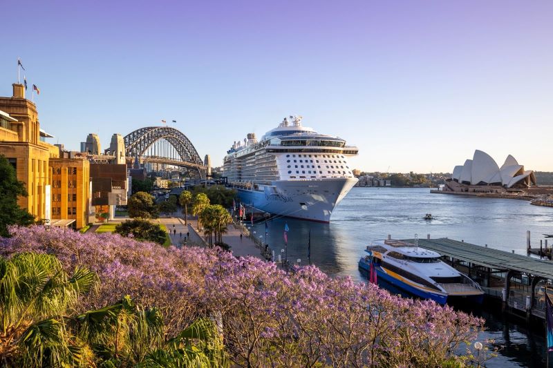 Ovation of the Seas cruise ship docked at Sydney Harbour, framed by blooming purple Jacaranda trees, with the iconic Sydney Harbour Bridge and Opera House in the background during clear weather.