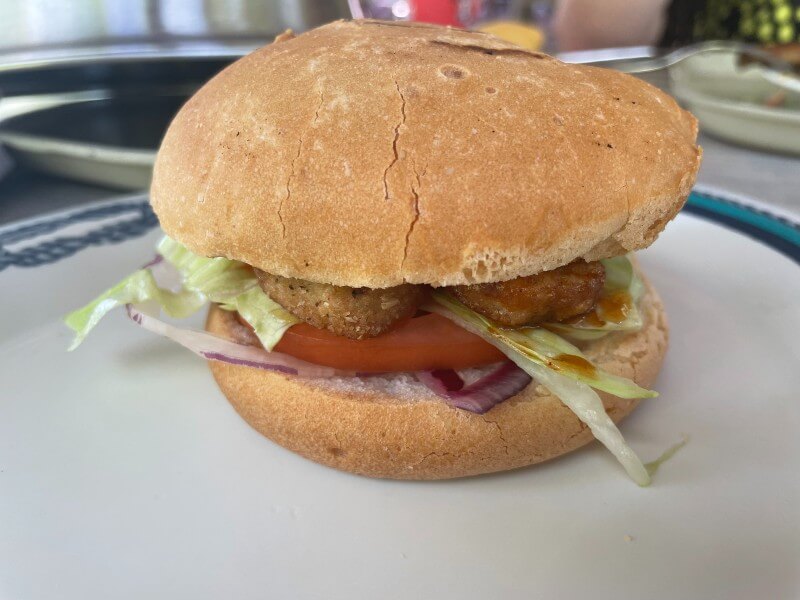Plant based chciken tenders - pre-ordered vegan meal at Castaway Cay