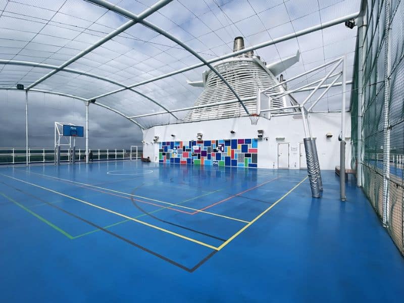 A sports area on a Princess cruise ship featuring a blue multi-purpose court with lines for basketball and other sports. The area is covered with a netted roof and has colorful wall panels as a backdrop, with basketball hoops on either end of the court.