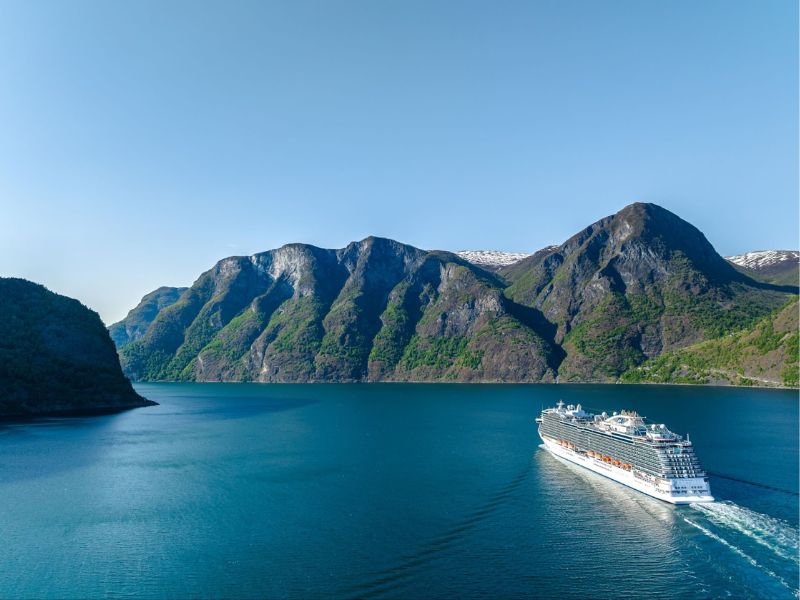 A Princess cruise ship gracefully navigates through a fjord, with majestic green mountains rising on either side, showcasing the natural beauty and serene experience of a cruise in the Norwegian fjords.
