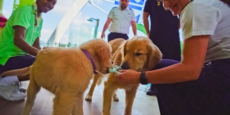 Rover and Sailor Royal Caribbean Chief Dog Officers