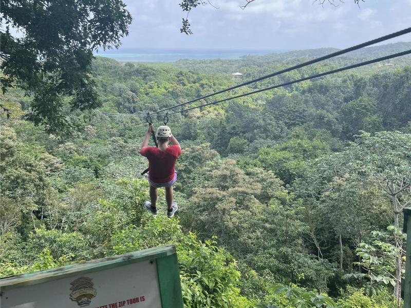 Sloths, Monkeys, Zip Line and Snorkel Combo – Roatan Island, Honduras
