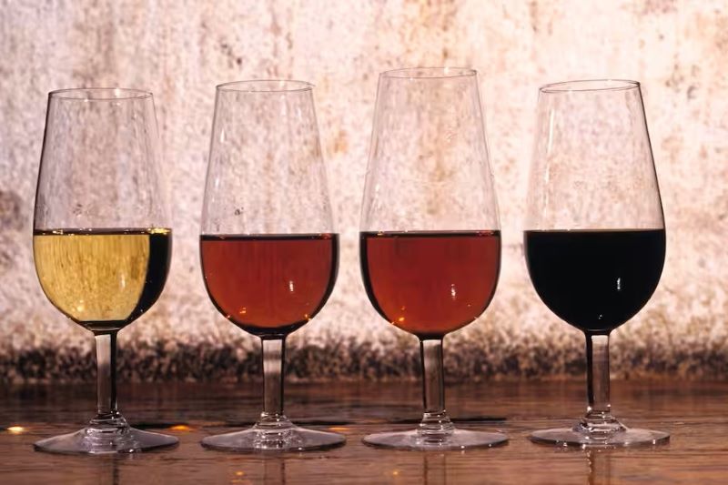 Wine tasting in Jerez Spain