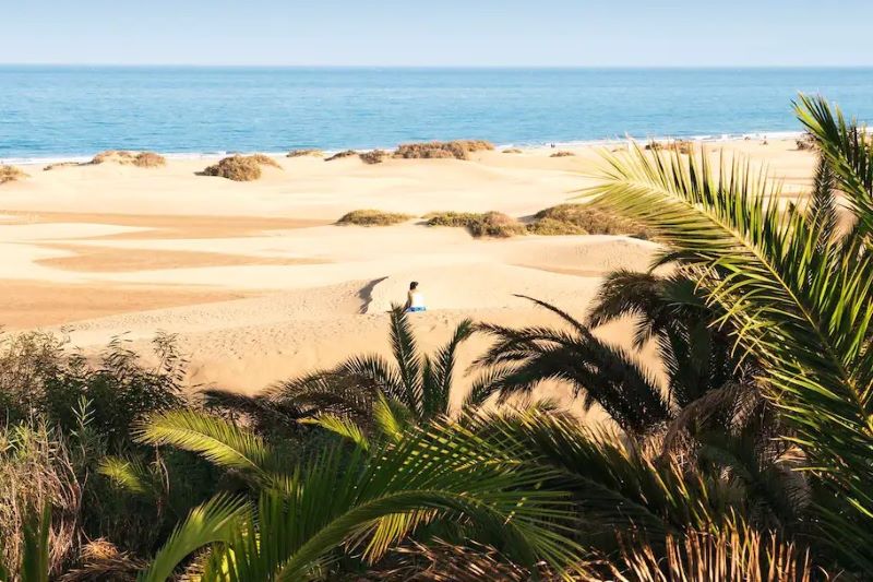 Maspalomas Beach Dunes In Spain