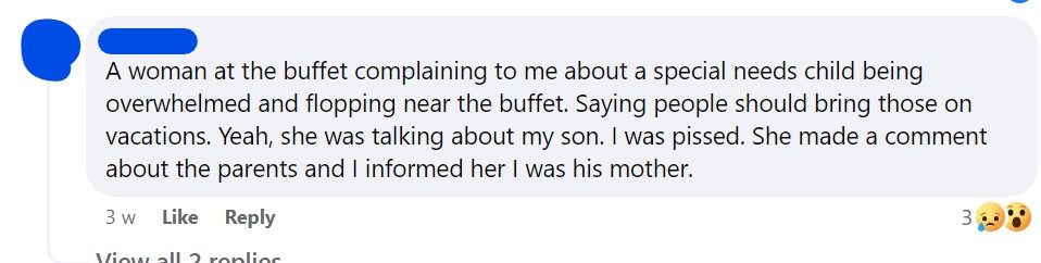 A woman at the buffet complaining to me about a special needs child being overwhelmed and flopping near the buffet. Saying people should bring those on vacations. Yeah, she was talking about my son. I was pissed. She made a comment about the parents and I informed her I was his mother.