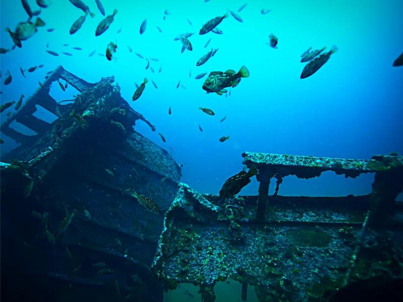 The Antilla Shipwreck Sail and Snorkel Trip – Oranjestad, Aruba