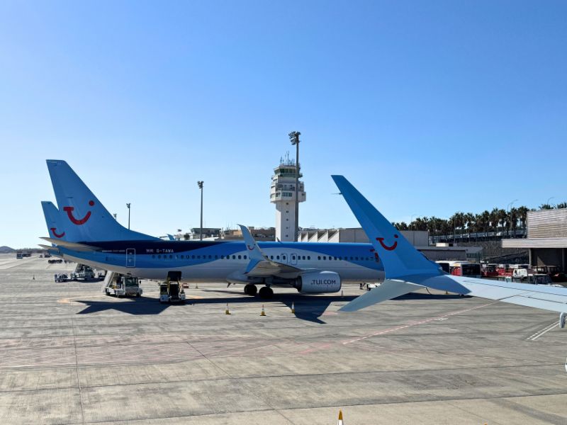 Tui planes