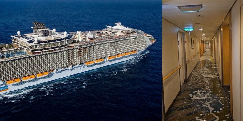 Allure of the Seas Flood Damage