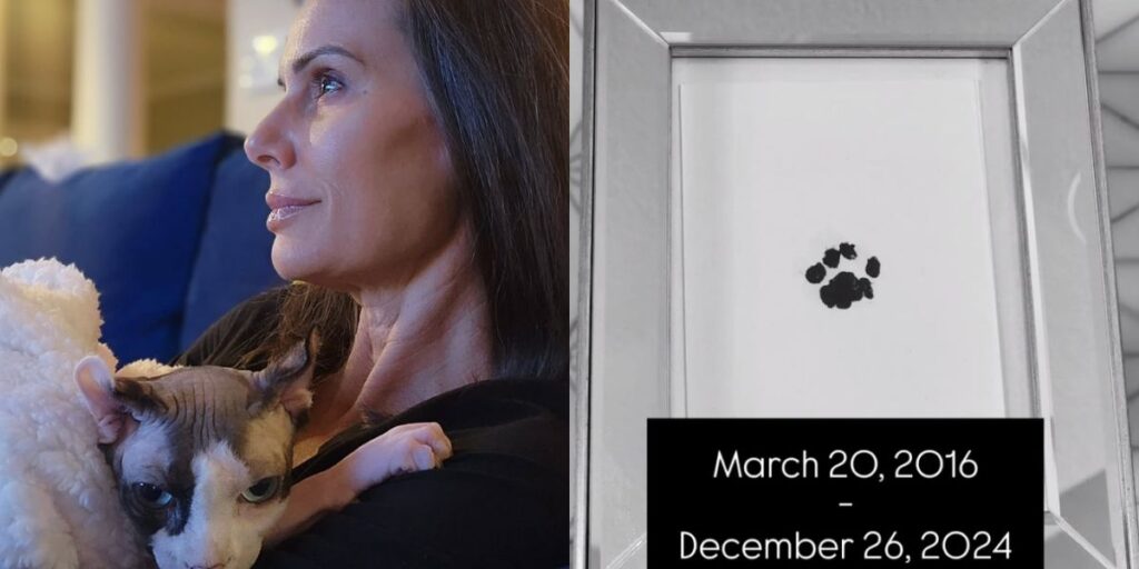 Bug Naked, Captain Kate McCue's cat, passes away