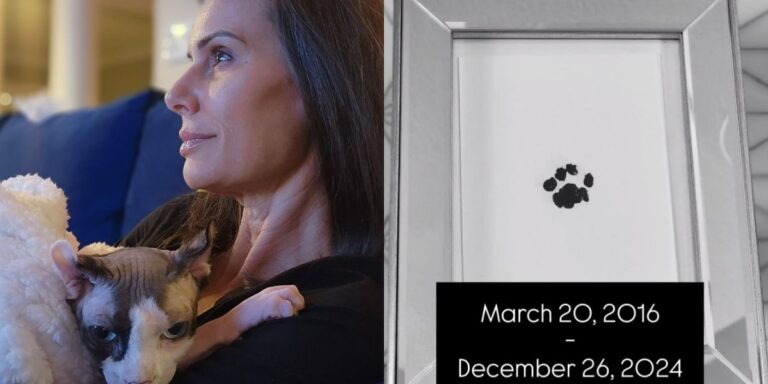 Bug Naked, Captain Kate McCue's cat, passes away