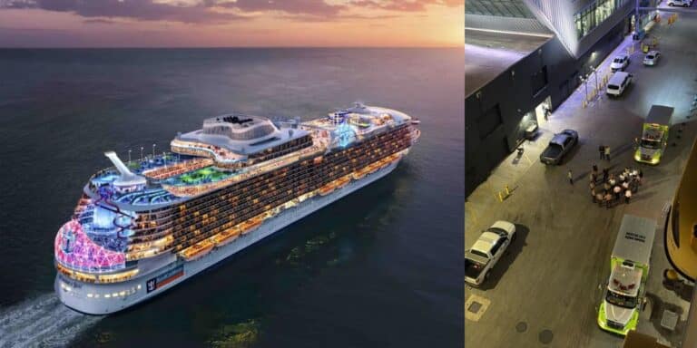 Wonder of the Seas Altercation with police and ambulances