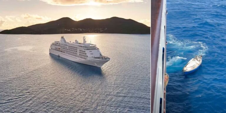 Silver Whisper Rescue