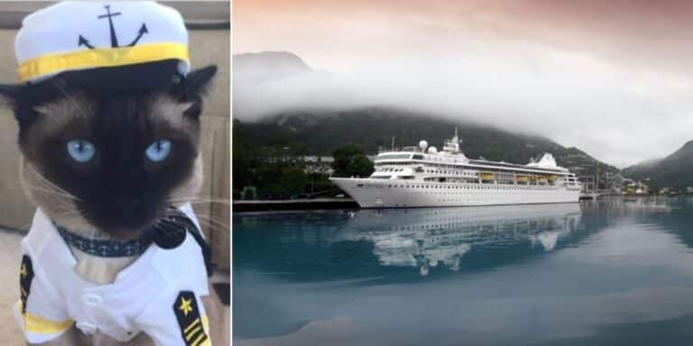 Cruising with a Cat Villa Vie Odyssey & Captain
