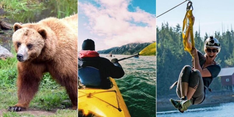 Alaska Excursions