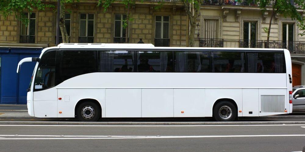 Coach